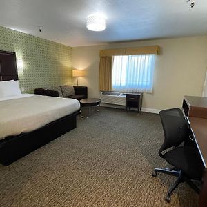 One-Room Suite